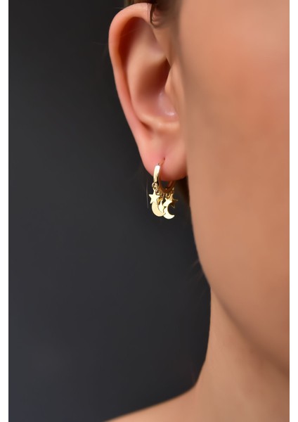 925 Ayar Gümüş Gold Kaplama Çift Plaka Hilal ve Yıldız Halka Küpe fiyatları