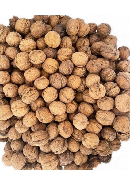 Kahramanmaraş Kabuklu Ceviz 1 kg