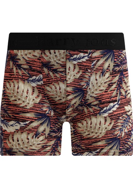 Erkek 3'lü Boxer