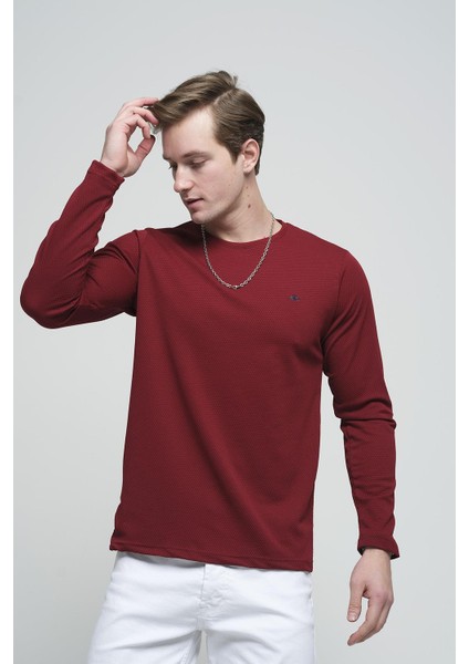 Julio Slim Fit Petek Desen Bisiklet Yaka Erkek Swetshirt