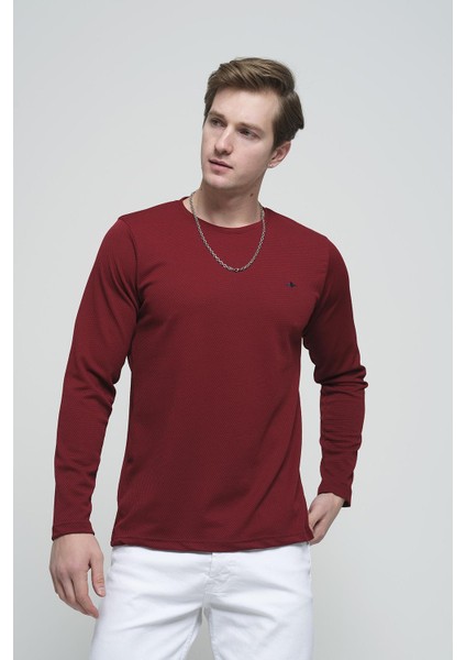 Julio Slim Fit Petek Desen Bisiklet Yaka Erkek Swetshirt fiyatları