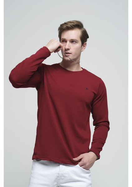 Julio Slim Fit Petek Desen Bisiklet Yaka Erkek Swetshirt modelleri