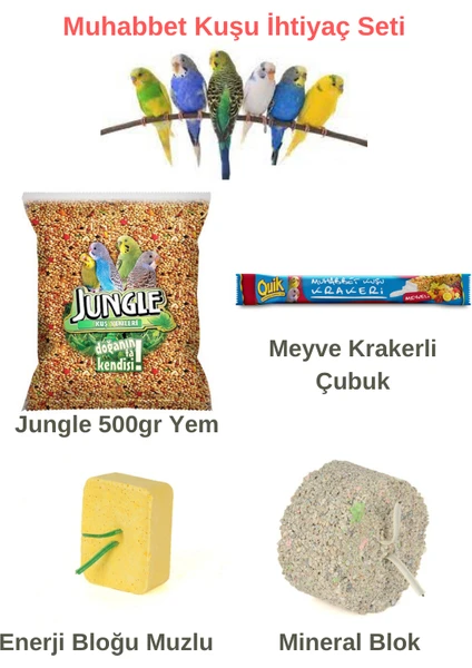 Jungle Muhabbet Kuşu Ihtiyaç Seti (Jungle Muhabbet Yem + Quik Meyve Krakeri+ Enerji Bloğu + Mineral Blok)