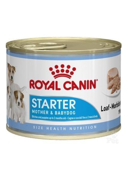 Starter Mousse Anne ve Yavruları Için Köpek Konservesi 195 gr