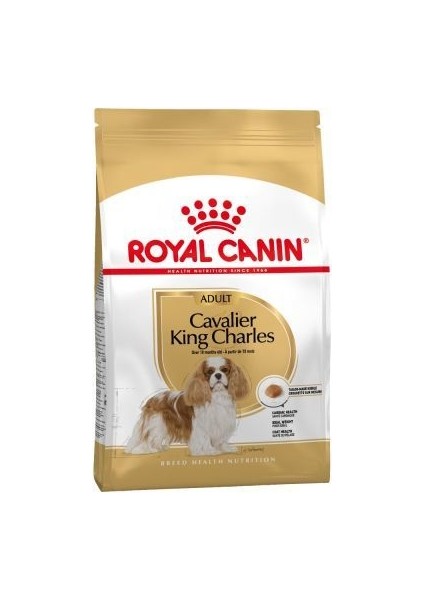 Cavalier King Charles Köpek Maması 3 kg