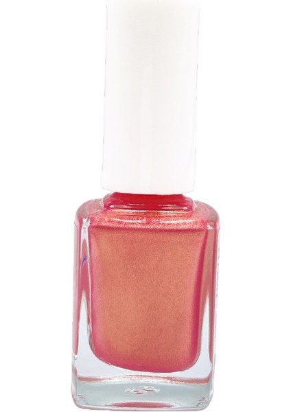 Kozmetik Seti Oje No 113 + C-05 & Quick Dry Extra Shine Redesign - Oje Kurutucu Cila 11 ml