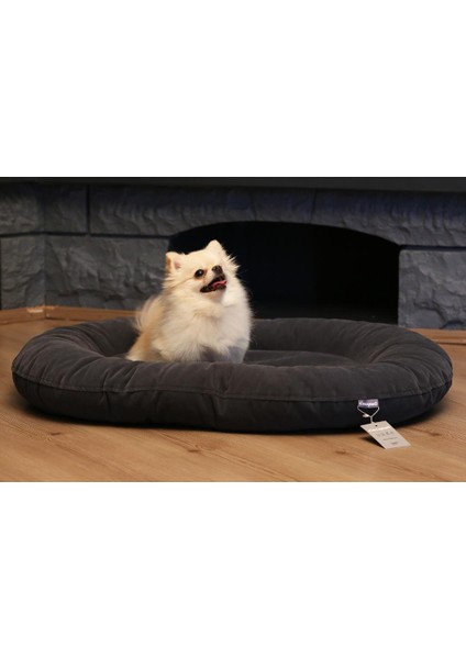 Cecepet Leo Serisi Kedi ve Köpek Yatağı 80X60 cm