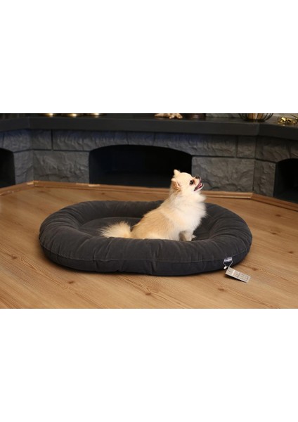 Cecepet Leo Serisi Kedi ve Köpek Yatağı 80X60 cm