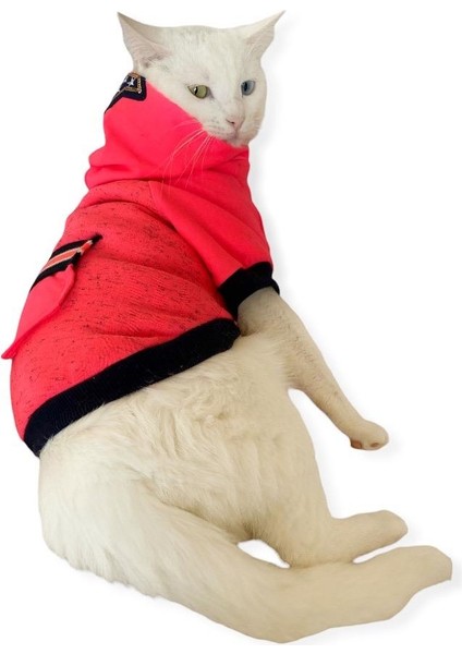 Pink Stars Kapşonlu Sweatshirt Kedi Kıyafeti