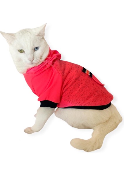 Pink Stars Kapşonlu Sweatshirt Kedi Kıyafeti modelleri