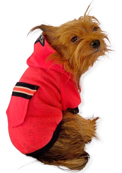 Pink Stars Kapşonlu Sweatshirt Köpek Kıyafeti