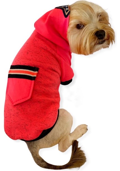 Pink Stars Kapşonlu Sweatshirt Köpek Kıyafeti modelleri