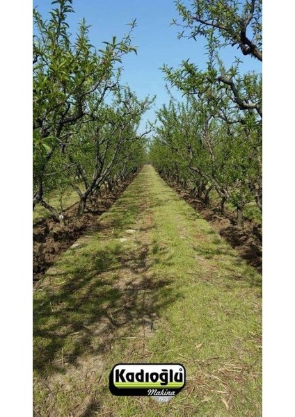 Eko Duyarga Taşıyıcı + Çapa Bıçağı KDM500 ATALAR51 indirimleri