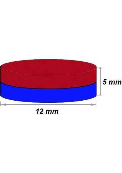 5 Adet Çap 12MM x Kalınlık 6mm Güçlü Neodyum Mıknatıs