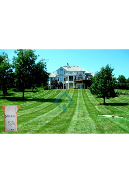 4A Busıness fiyatları