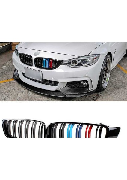 Bmw 4 Serısı F32 2013-2019 M4 Bobrek (Cıft Cızgı Panjur) M Renk