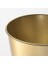 Gold Renk Bitki Çiçek Saksısı 12CM Galvanizli Çelik 4