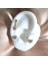 Cerrahi Çelik Lotus Çiçeği&kelebek Gold Piercing Set- 3 Adet - 6 mm 3