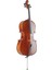 4/4 Tamboy Parlak Cila Vnc-4/4 Çello 1