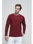 Julio Slim Fit Petek Desen Bisiklet Yaka Erkek Swetshirt 2