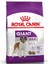 Giant Adult Iri Irk Yetişkin Köpek Maması 15 kg 1