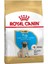 Puppy Pug Irkına Özel Yavru Köpek Maması 1,5 kg 1