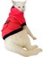 Pink Stars Kapşonlu Sweatshirt Kedi Kıyafeti 1