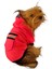 Pink Stars Kapşonlu Sweatshirt Köpek Kıyafeti 1