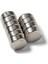 10 Adet Çap 12MM x Kalınlık 6mm Güçlü Neodyum Mıknatıs 1