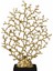 Gold Mercan 1