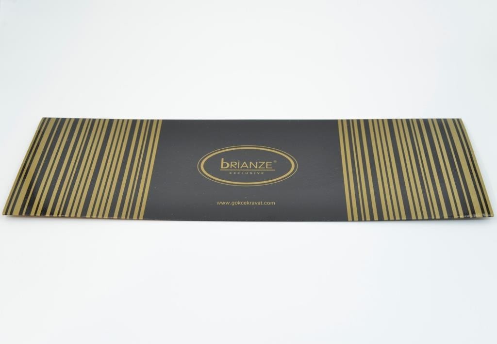 Brianze Mürdüm Kravat Mendil Yaka Çiçeği Set %100 Microfiber Şık Tasarım görsel 3