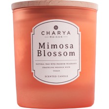 Charya Maison Mimosa Blossom 230 G Doğal ve Vegan Mum