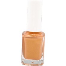 Pazariz Kozmetik Seti / Oje No: 301 + 761 & Oje Nail Art Fırça Seti 15 Parça