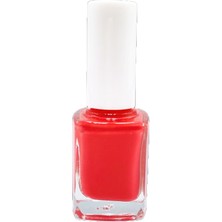 Pazariz Kozmetik Seti / Oje No: 289 + 616 & Oje Nail Art Fırça Seti 15 Parça