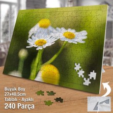 Asilmeydan Asil Hobi - Güzel Çiçek - Papatya - Doğa - Naturel - Yapboz - Ayak Destekli 240 Parça Puzzle