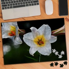 Asilmeydan Beyaz Sarı Orkide Çiçek Türü 240 Parça Puzzle YAPBOZ-3491819