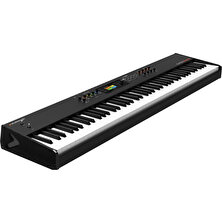 Numax Piano 88