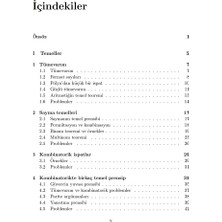 Nesin Yayınevi Ayrık Matematikte Seçme Konular 1 - Ümit Işlak