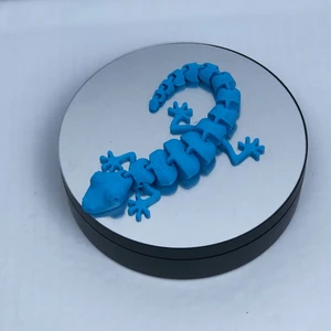 3D Hareketli Kertenkele Figürlü Oyuncak