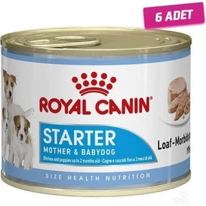 Royal Canin 6 Adet - Royal Canin Starter Mousse Konserve Yavru Köpek Maması 195 gr