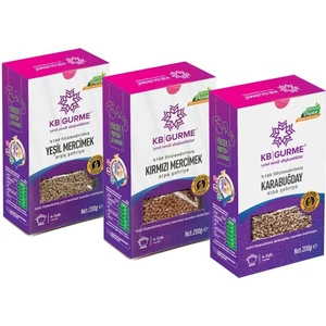 Kb Gurme Glutensiz Filizlendirilmiş Arpa Şehriye 200 gr x 3