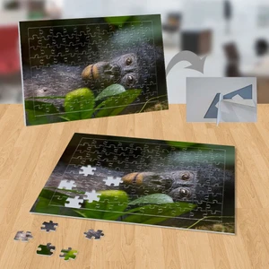Yatan Maymun ,hayvan, Doğa 99 Parça Puzzle YAPBOZ-P118