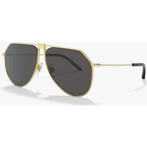 Dolce & Gabbana 2248 02/87 Unisex Güneş Gözlüğü