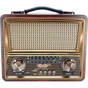 Raıseng R-2055BT Retro Klasik Tasarım Bluetooth Hoparlör - Speaker