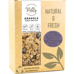 Vitaly Gurme Granola Yaban Mersini 320 gr