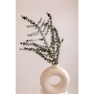 Dried Flowers Şoklanmış Okaliptus - Yeşil Kücük Yapraklı Okaliptus