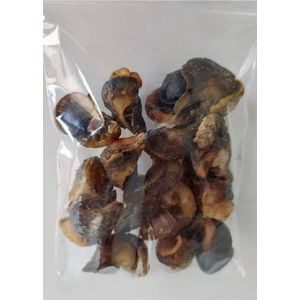 Black Diamond Madya Balık Yemi Çipura Tuzlu Suni Madya