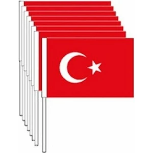 Exiz Ticaret 100 Adet Çıtalı Orta Boy Türk Bayrağı ( 12,5CM-22CM)