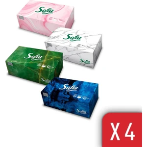 Kutu Mendil 100 Yaprak x 4