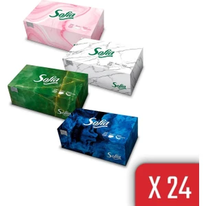 Kutu Mendil 100 Yaprak x 24